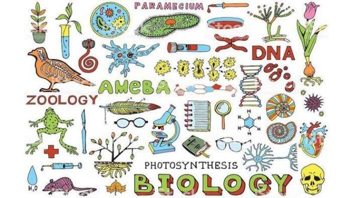 Protected: TRYOUT BIOLOGI KELAS 11